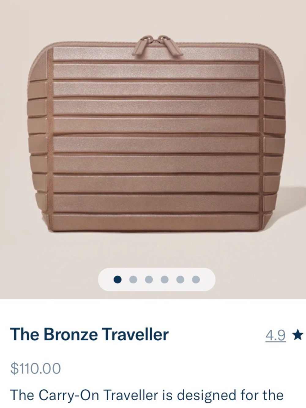 The Bronze Traveller Carry-On Pouch – Bronze